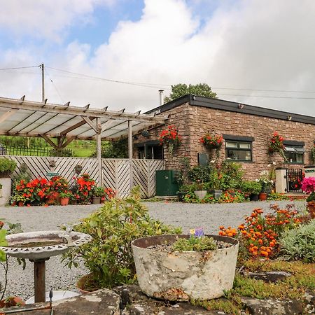 Ffynnonlwyd Cottage Llangynin Ngoại thất bức ảnh