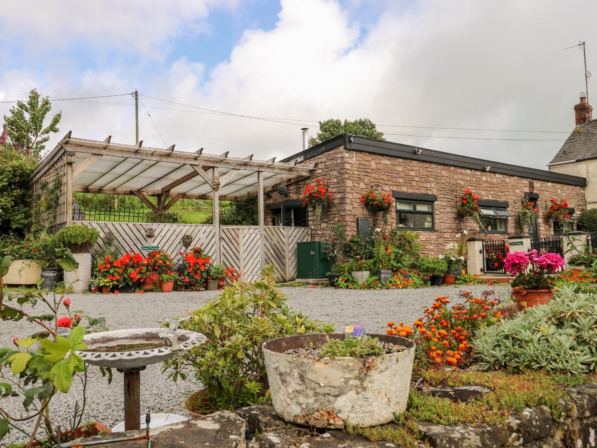 Ffynnonlwyd Cottage Llangynin Ngoại thất bức ảnh